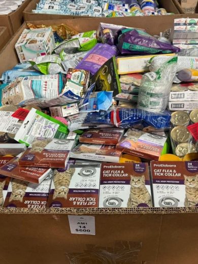 Buy Wholesale Cat Food By The Pallet (45 Bags – $650) - Image 5