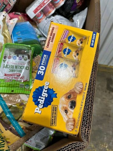 Buy Wholesale Dog Food By The Pallet (40 Bags – $600) - Image 4