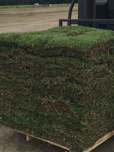 Buy Pallet Of Sod For Sale (450 Sq Ft – $350) - Image 4