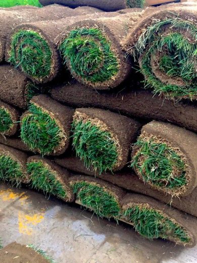 Buy Pallet Of Sod For Sale (450 Sq Ft – $350) - Image 3