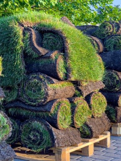 Pallet Of Sod For Sale