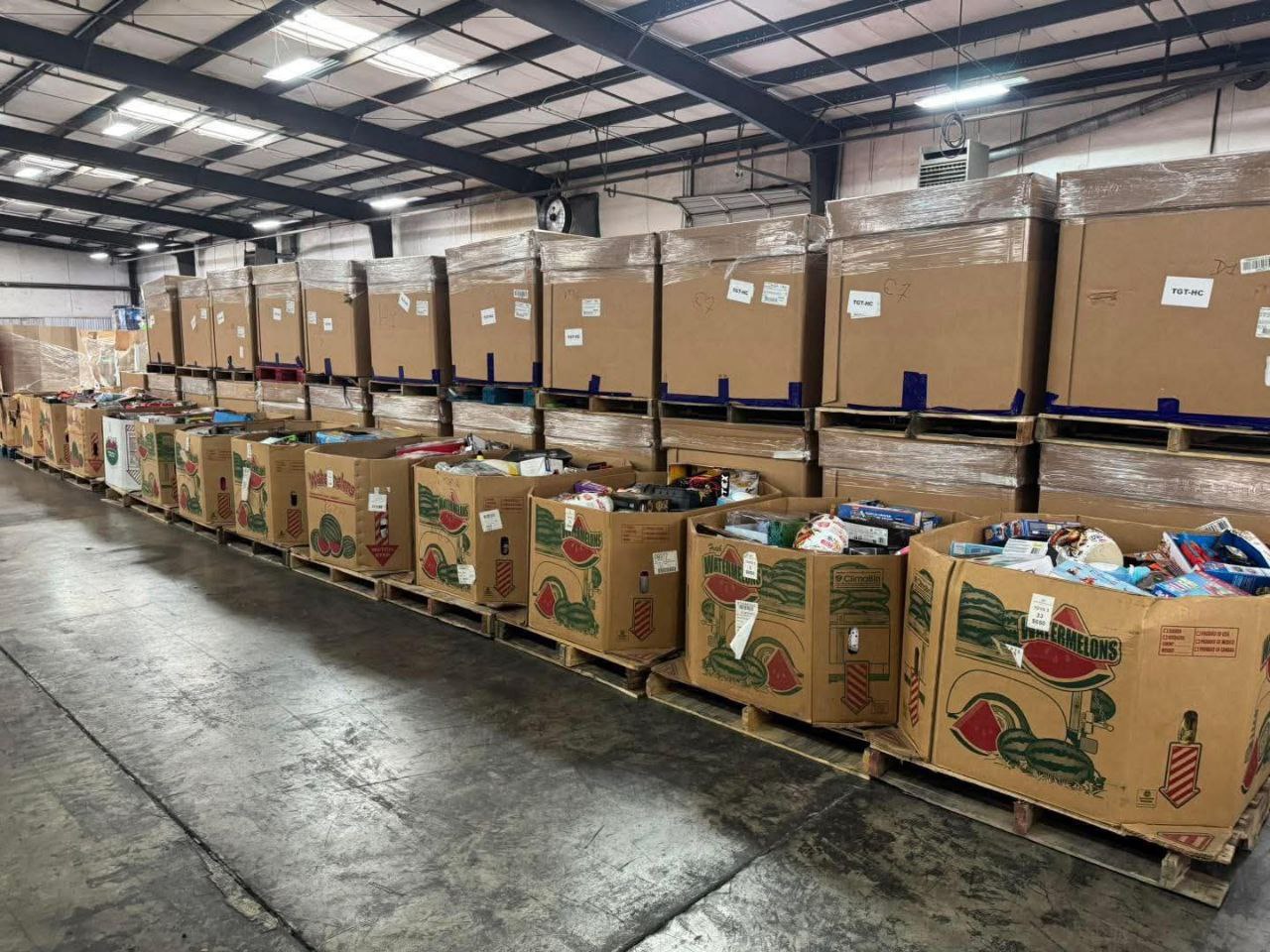 photo 2026 02 10 13 38 17 Contact